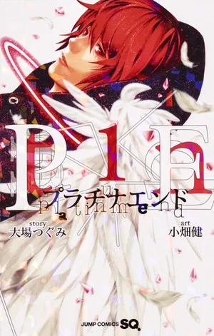 Platinum End