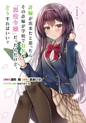 It Turns Out That I Have a Fiancée, but She Is the Famous "Villainess" of the School. What Should I Do?